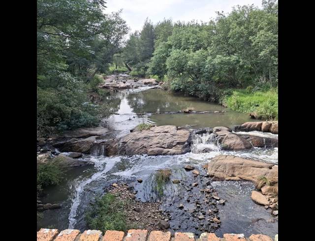 LAND FOR SALE IN RIETFONTEIN